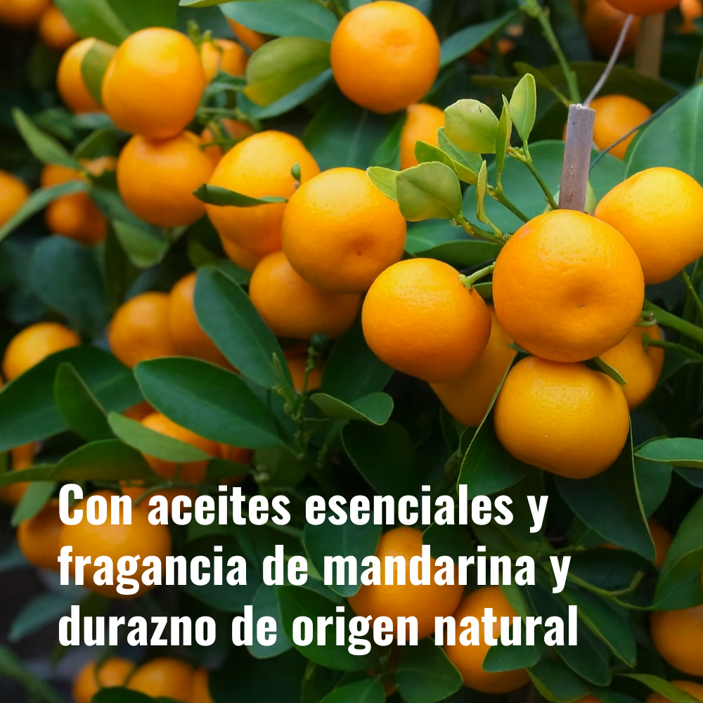 Clean Shine and Protect - Miracle Sealants