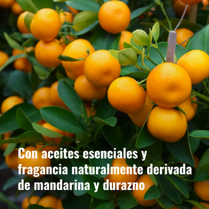 Limpiador Diario de Cubiertas de Cocina -Miracle Sealants